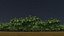 3D model Tiny forest