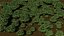 3D model Tiny forest