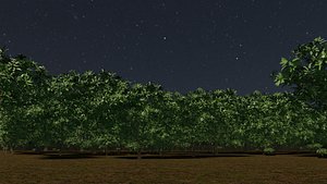 3D model Tiny forest