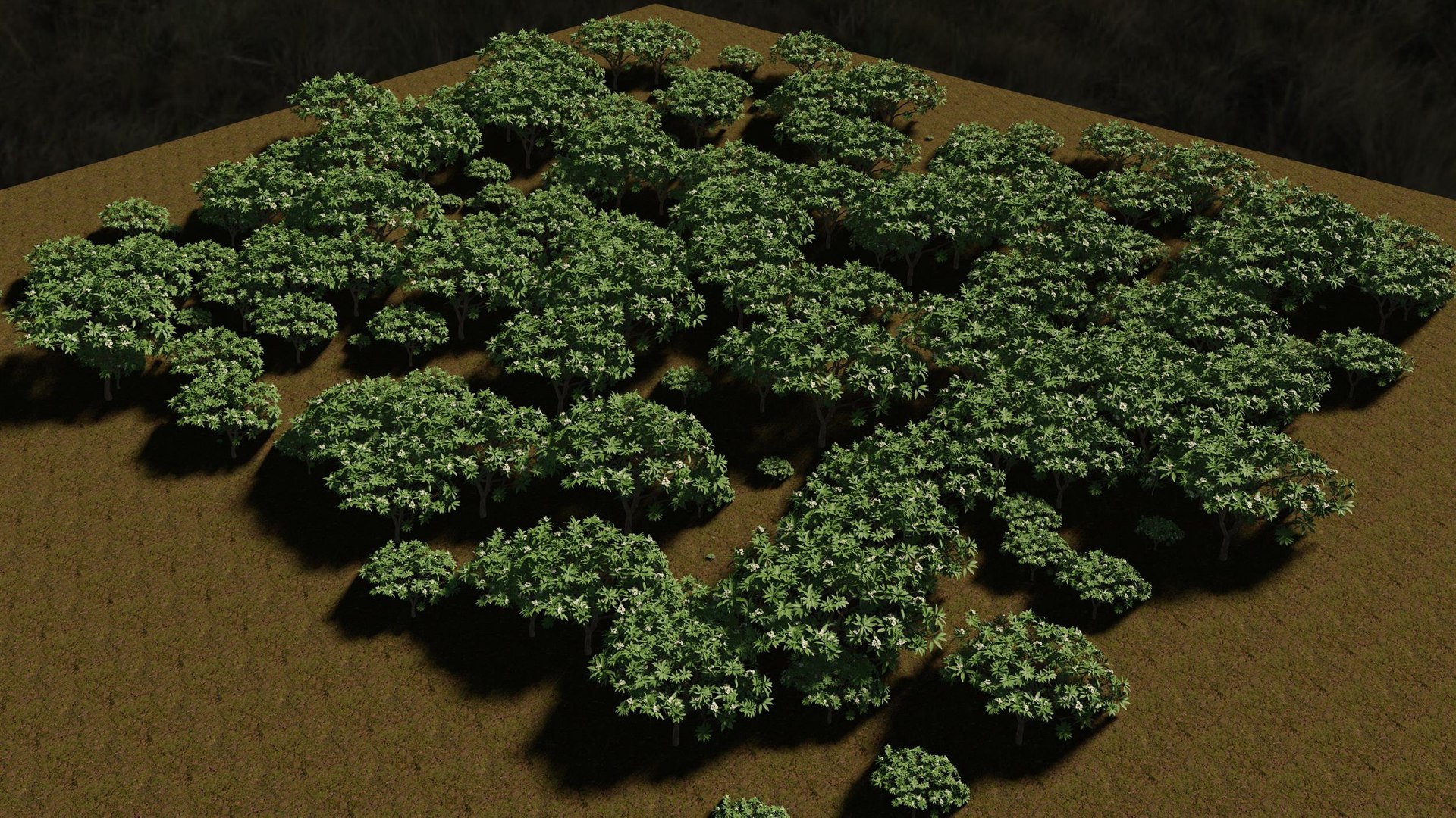 3D model Tiny forest https://p.turbosquid.com/ts-thumb/iN/KfxU5r/p8/2022la.0015/jpg/1659335498/1920x1080/fit_q87/7aaf9eb6142c547a010528778283ab9599e48f92/2022la.0015.jpg