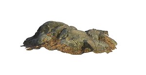 Hook Mountain Rock Formation 2