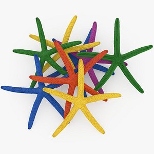 Dyed Finger Starfish 3D