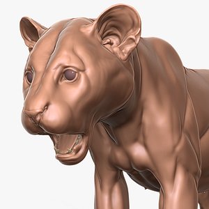 3D Tiger Cub Primary Forms Zbrush Sculpt model