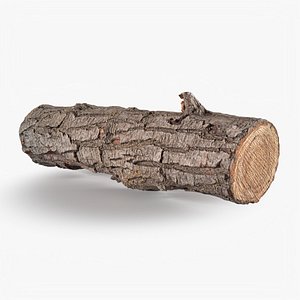 3D model Tree Bark Scanned 7 StemCell