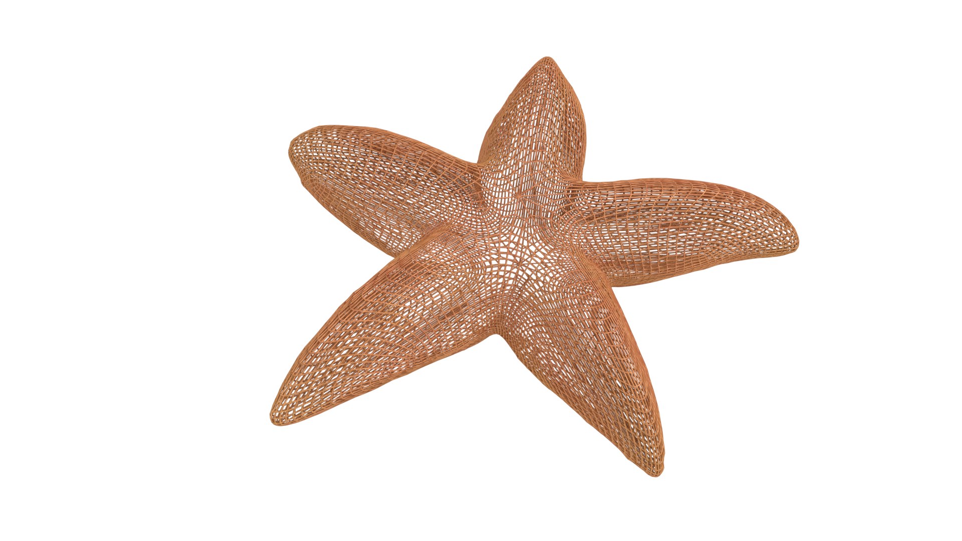 star starfish fish 3D model https://p.turbosquid.com/ts-thumb/iN/grDMjg/0dlupZFz/seastar_w1/png/1575982688/1920x1080/fit_q87/be77a4e9167653483acddc9ecdd40868a4b21b2a/seastar_w1.jpg