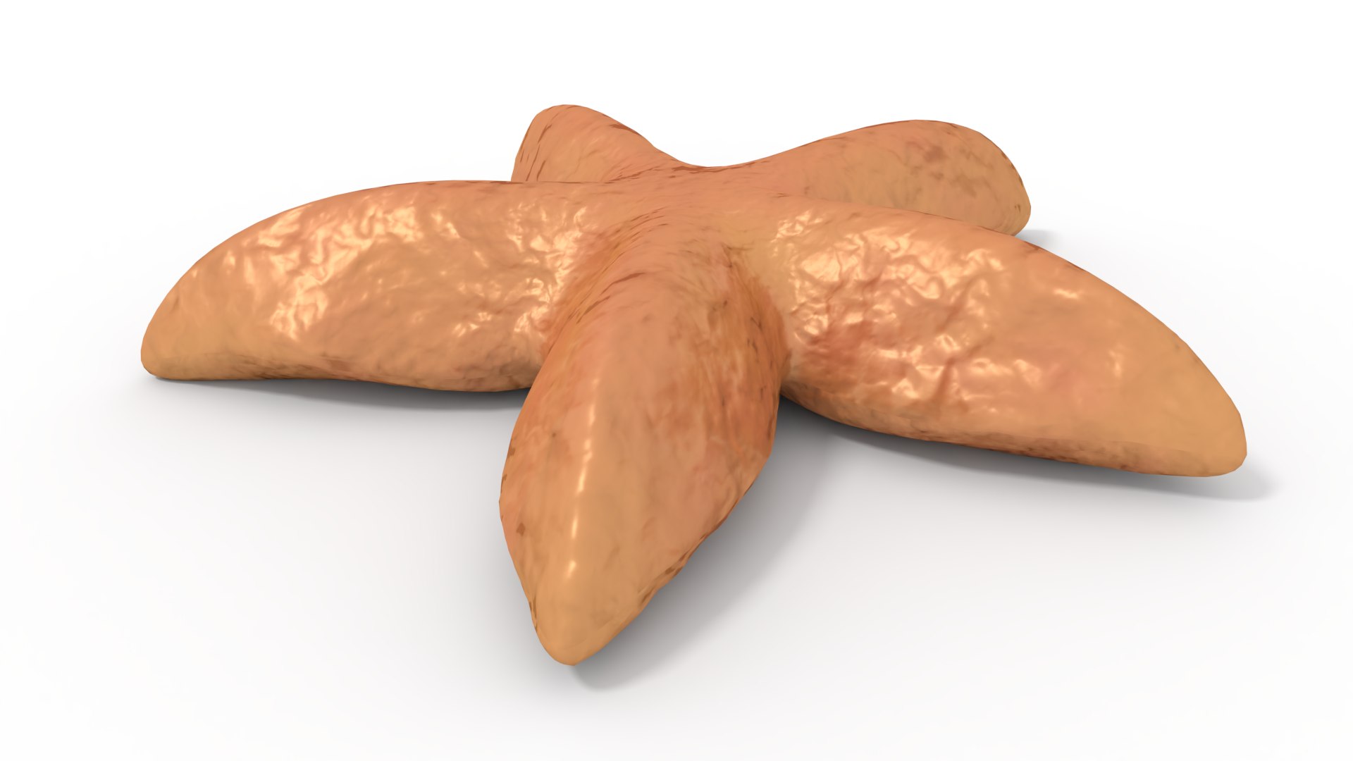 star starfish fish 3D model https://p.turbosquid.com/ts-thumb/iN/grDMjg/PWuQIi1w/seastar_t3/png/1575982688/1920x1080/fit_q87/84795224d5875617be7bf0b4fdca3214bb94c5c8/seastar_t3.jpg