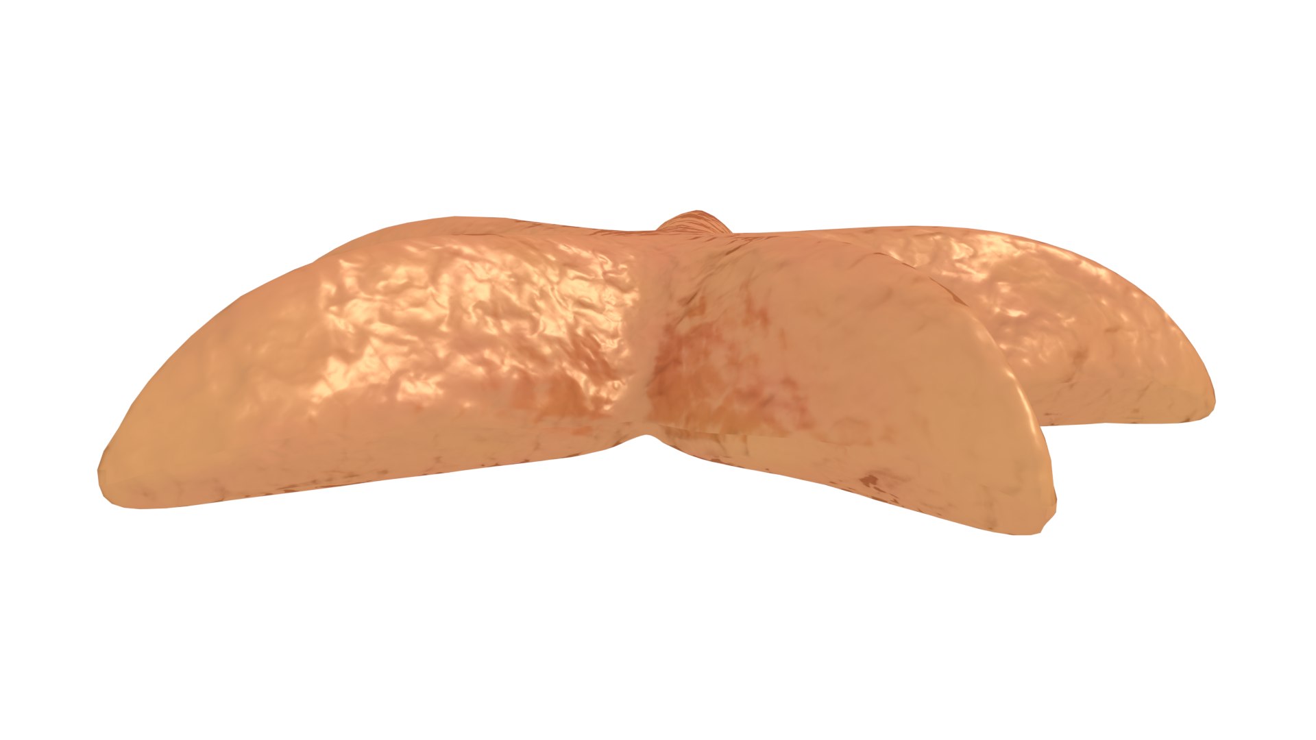 star starfish fish 3D model https://p.turbosquid.com/ts-thumb/iN/grDMjg/jX2MK8cG/seastar_t5/png/1575982688/1920x1080/fit_q87/1a4dc23c95c6c67e723698888f198092f5742391/seastar_t5.jpg