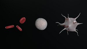Bloodcells