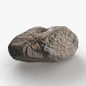 3D River Stone 24 StemCell