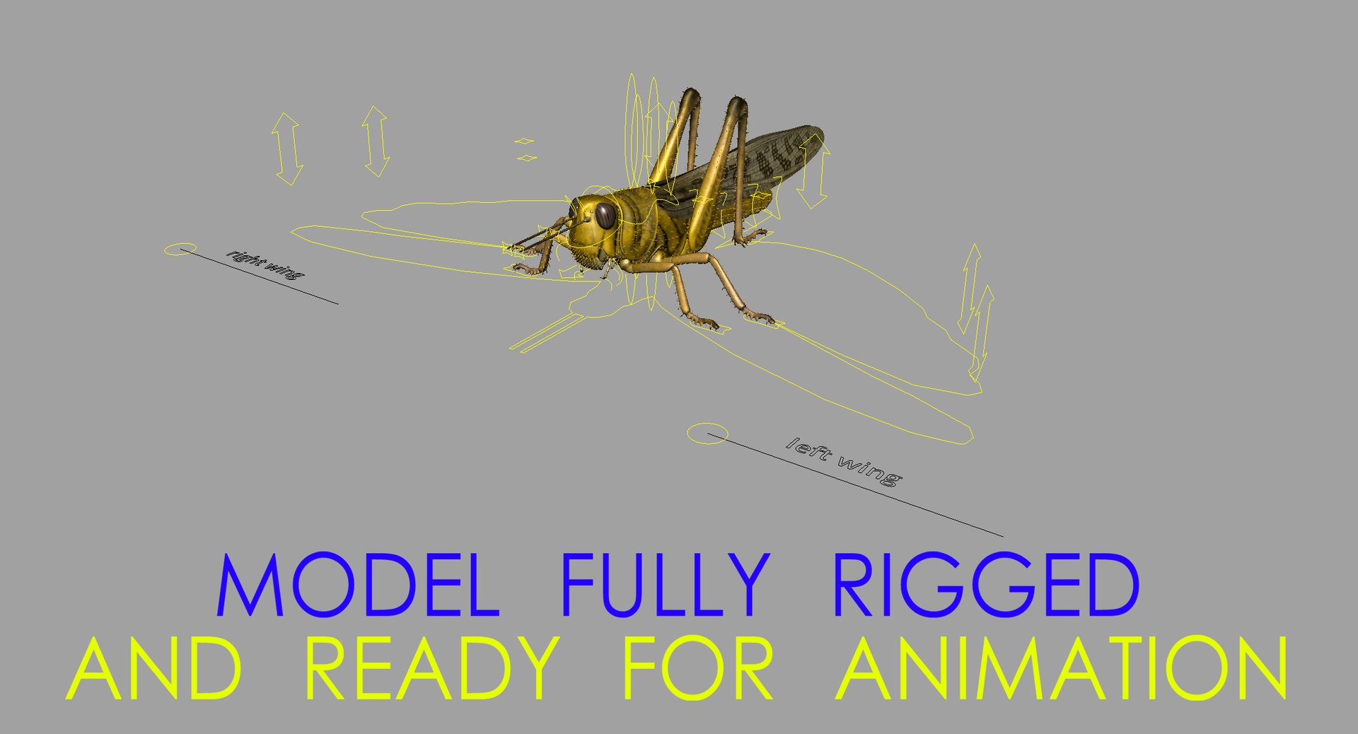 obj schistocerca gregaria desert locust https://p.turbosquid.com/ts-thumb/iO/32e0aN/J0NUs1IZ/rigged_wide/jpg/1453912806/1920x1080/fit_q87/4f53c74d07bc3d074adfa1da092a8ee55fbb38de/rigged_wide.jpg