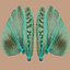 Schistocerca Gregaria "Desert Locust"