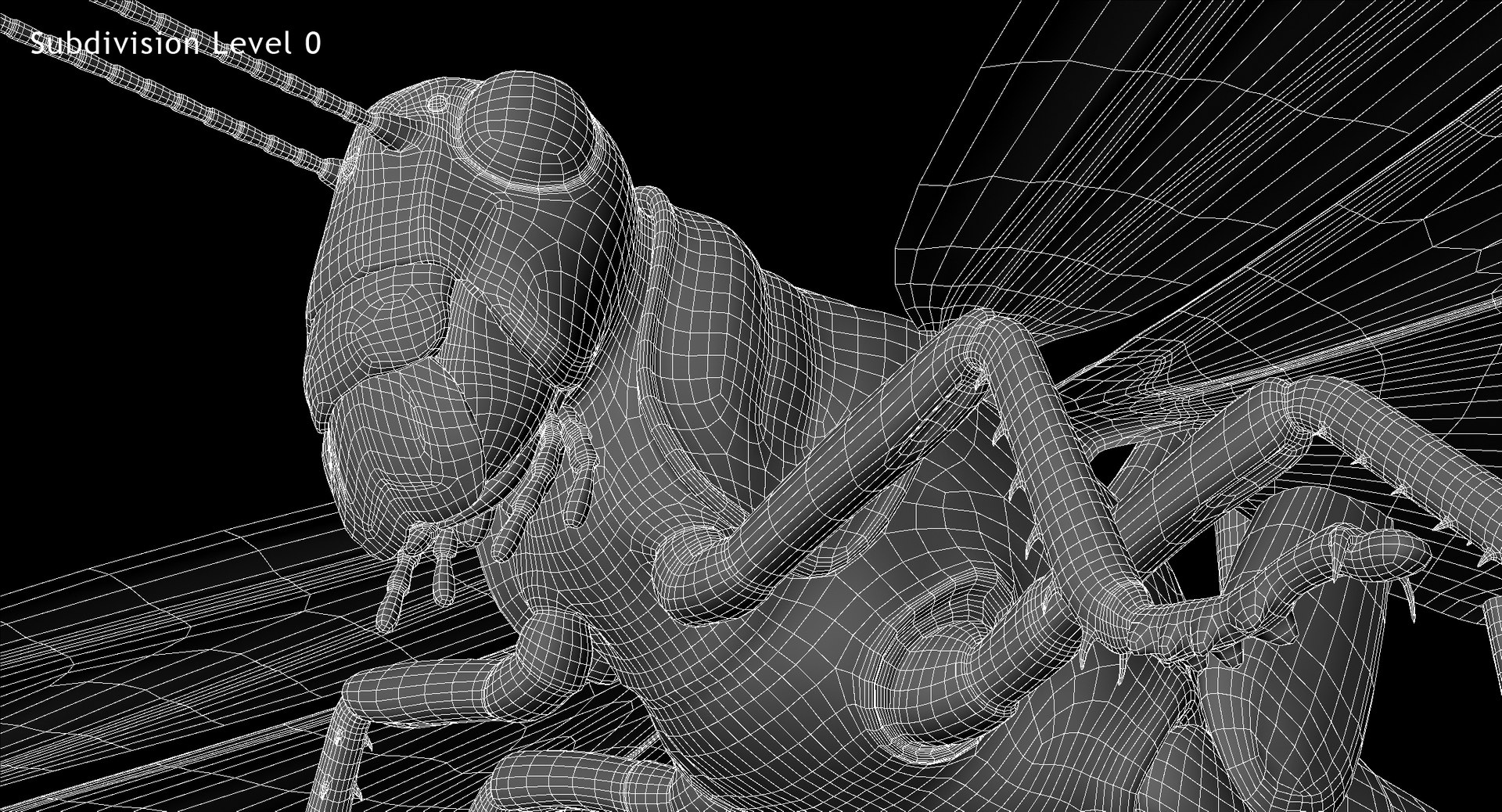 obj schistocerca gregaria desert locust https://p.turbosquid.com/ts-thumb/iO/32e0aN/W5giuoeL/w05/jpg/1453912807/1920x1080/fit_q87/d4964812dc89f9d7ad7e5dc3261f27ce239f01d3/w05.jpg