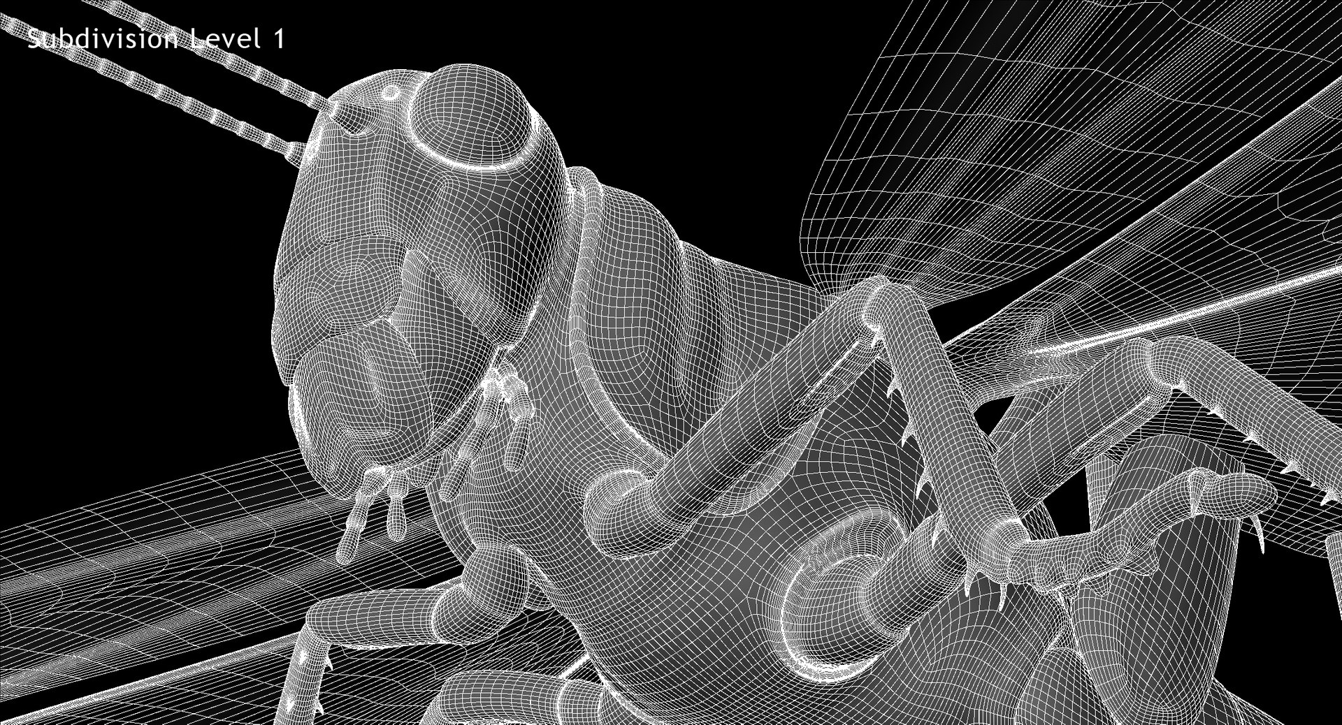 obj schistocerca gregaria desert locust https://p.turbosquid.com/ts-thumb/iO/32e0aN/bnEi9Y3i/w06/jpg/1453912807/1920x1080/fit_q87/05b5836b2575915b380b528ed5cc15ce15479ae0/w06.jpg