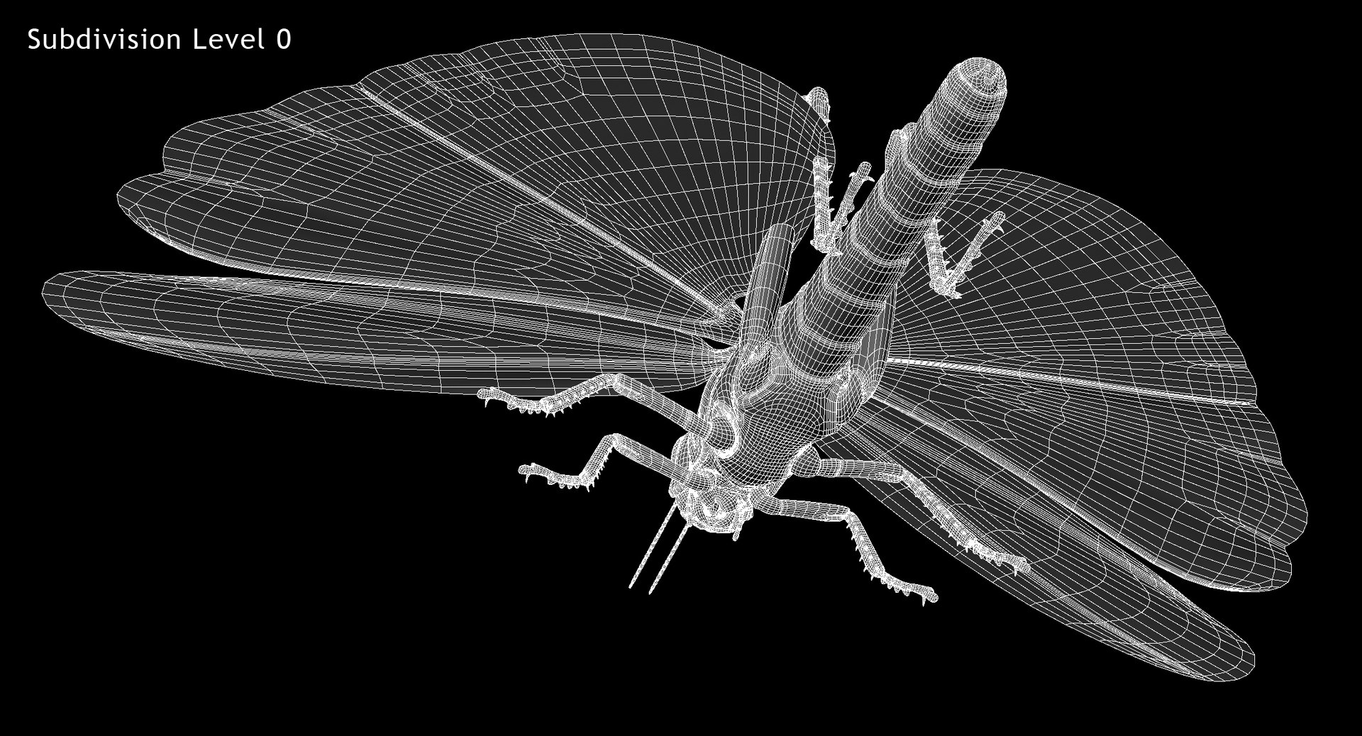 obj schistocerca gregaria desert locust https://p.turbosquid.com/ts-thumb/iO/32e0aN/pYzflQOw/w03/jpg/1453912807/1920x1080/fit_q87/87b314e3e660ac9aaf8a43b2cb0b1fd44e67ce46/w03.jpg