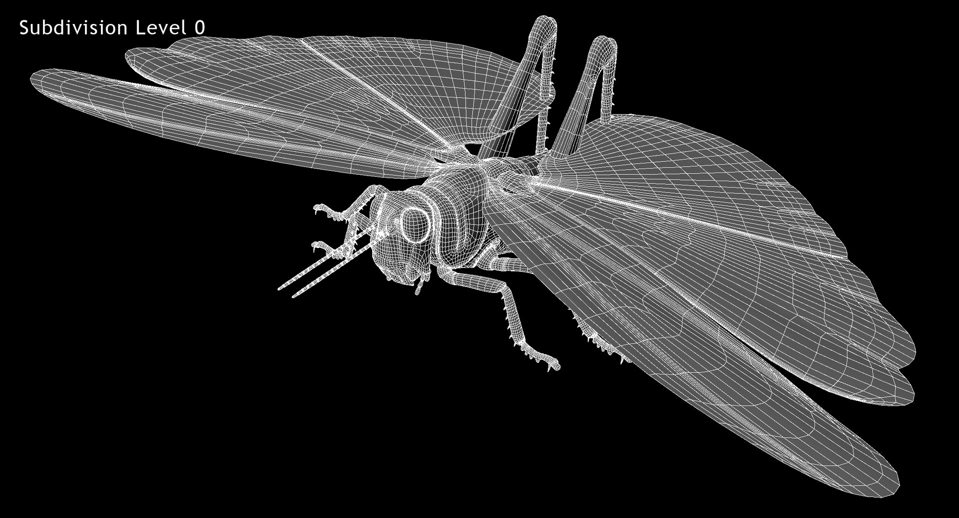 obj schistocerca gregaria desert locust https://p.turbosquid.com/ts-thumb/iO/32e0aN/t89lX6T1/w01/jpg/1453912806/1920x1080/fit_q87/754df81af0dbb7d1401ccbce6e21957381efc7ab/w01.jpg