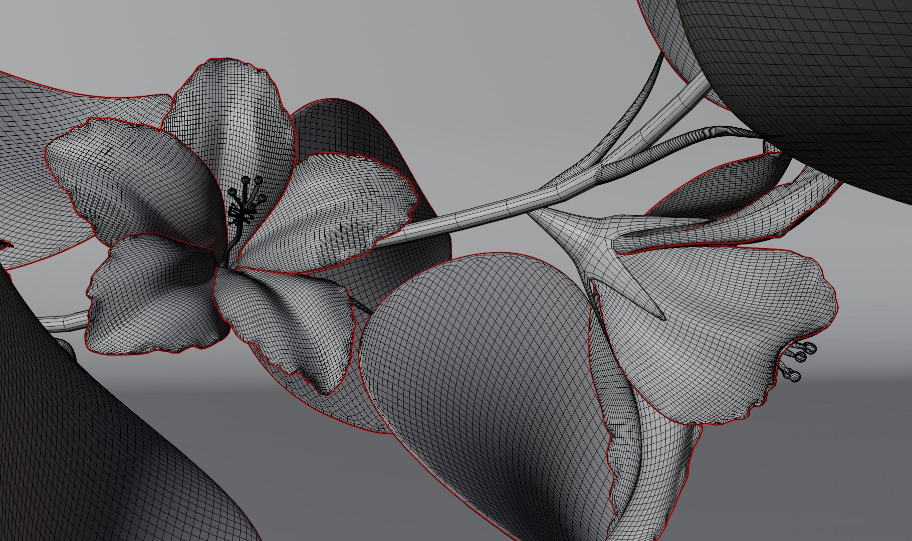 3D Flower Hibiscus https://p.turbosquid.com/ts-thumb/iO/MIhYwr/0Z/render8/png/1654346986/1920x1080/fit_q87/34b55413c29f9e8a0649f74b61ed8fe0d024ca13/render8.jpg