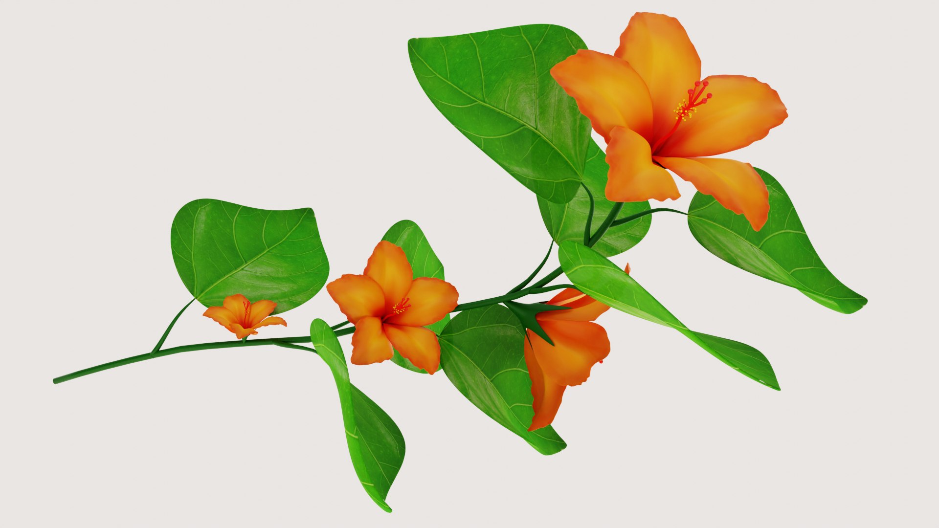 3D Flower Hibiscus https://p.turbosquid.com/ts-thumb/iO/MIhYwr/Bg/render1/png/1654368586/1920x1080/fit_q87/91f1d6e310e36d8e8653e17b09f30d1395708674/render1.jpg