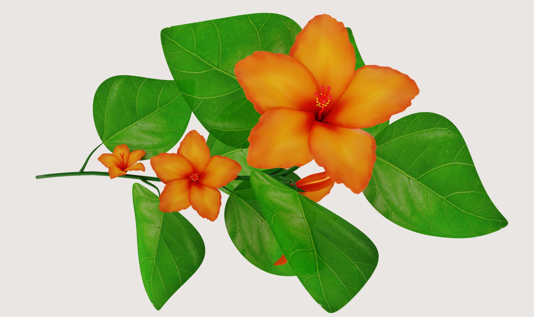 3D Flower Hibiscus https://p.turbosquid.com/ts-thumb/iO/MIhYwr/Ph/render3/png/1654347013/1920x1080/fit_q87/2535dcd944485909e701c9e0f81e720d0b4eccd8/render3.jpg