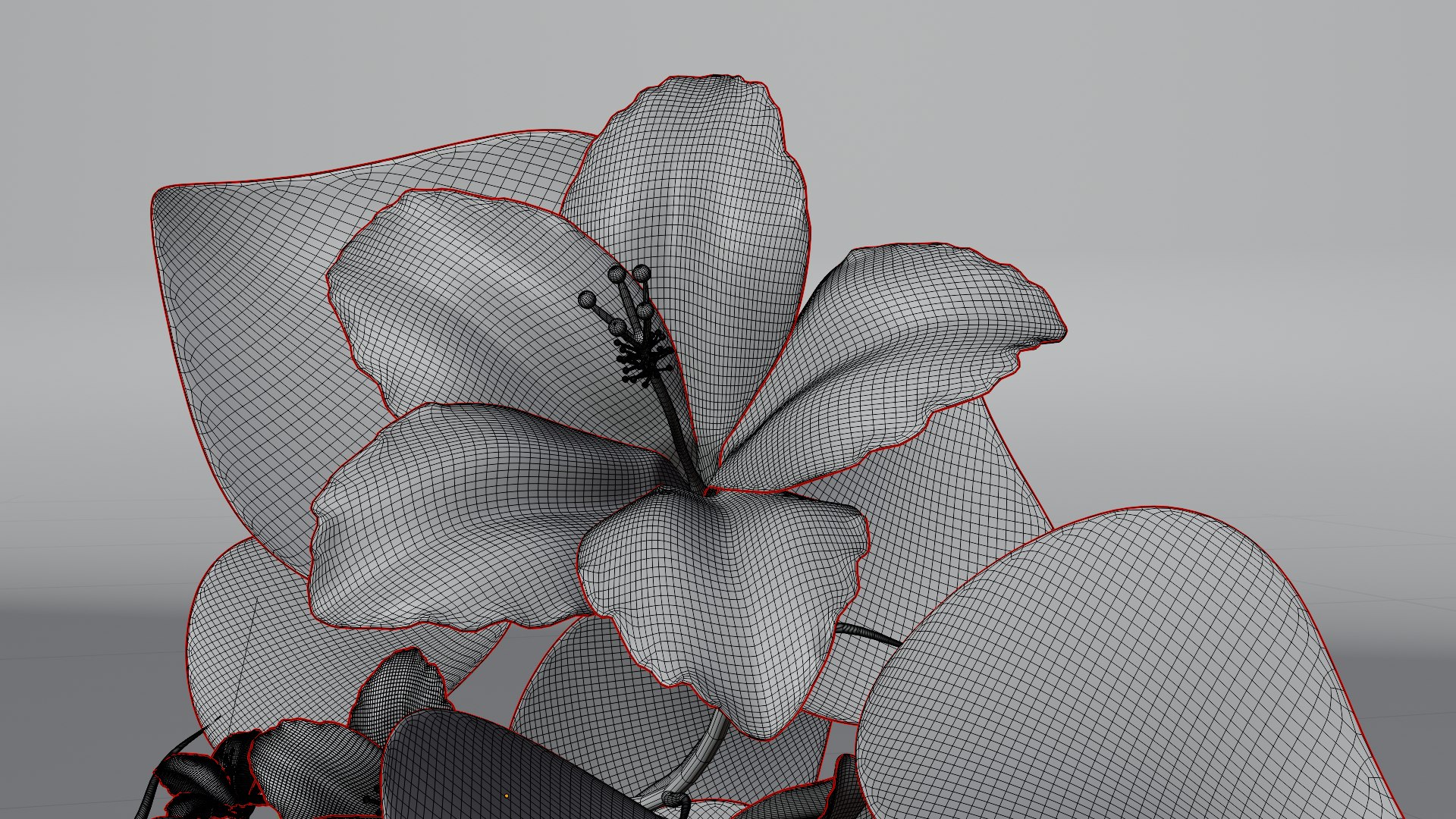 3D Flower Hibiscus https://p.turbosquid.com/ts-thumb/iO/MIhYwr/Qt/wire/png/1654368836/1920x1080/fit_q87/459c843bb8d847cbd89c084b3f3a023f3ee1bcca/wire.jpg
