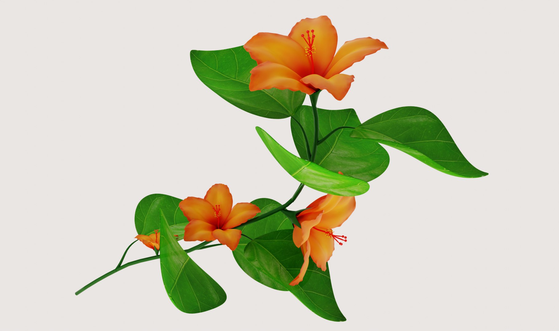 3D Flower Hibiscus https://p.turbosquid.com/ts-thumb/iO/MIhYwr/ej/render4/png/1654346995/1920x1080/fit_q87/8efe2fa20a67da88848270fdc5eb1c650128f4a2/render4.jpg