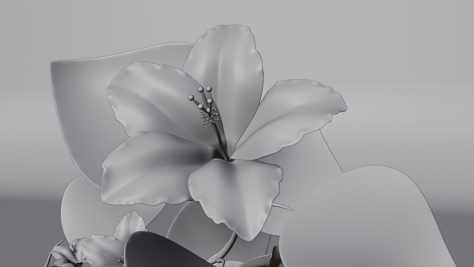 3D Flower Hibiscus https://p.turbosquid.com/ts-thumb/iO/MIhYwr/ug/render5/png/1654368596/1920x1080/fit_q87/f69e4705cbbab94f8edf27b12073178962b918d8/render5.jpg