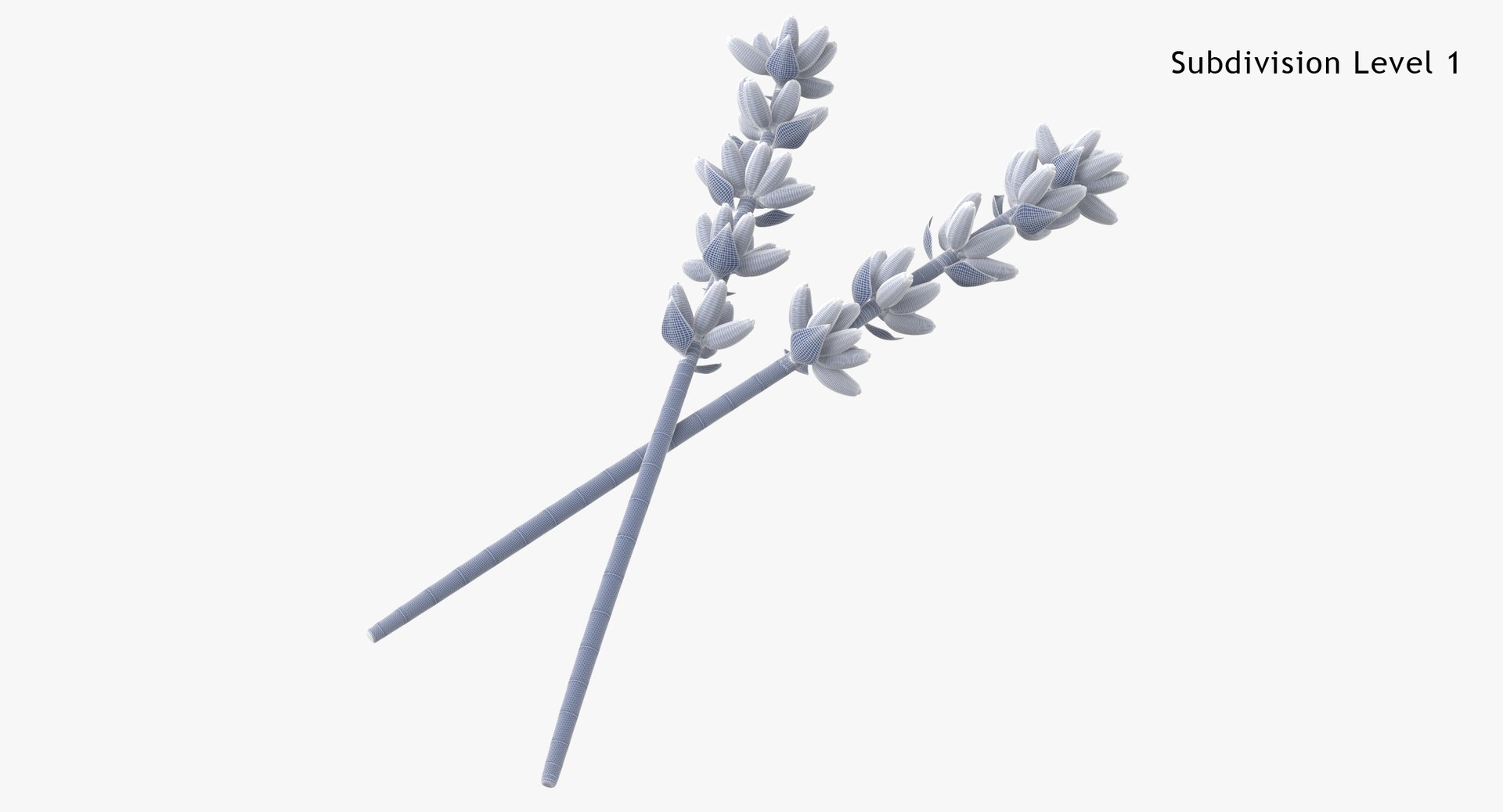 Prop 11 Lavender Sprigs Type 02 Sprigs model TurboSquid 2144275