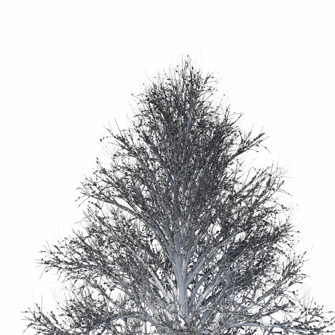 3D Winter Tree 03 - TurboSquid 1223264