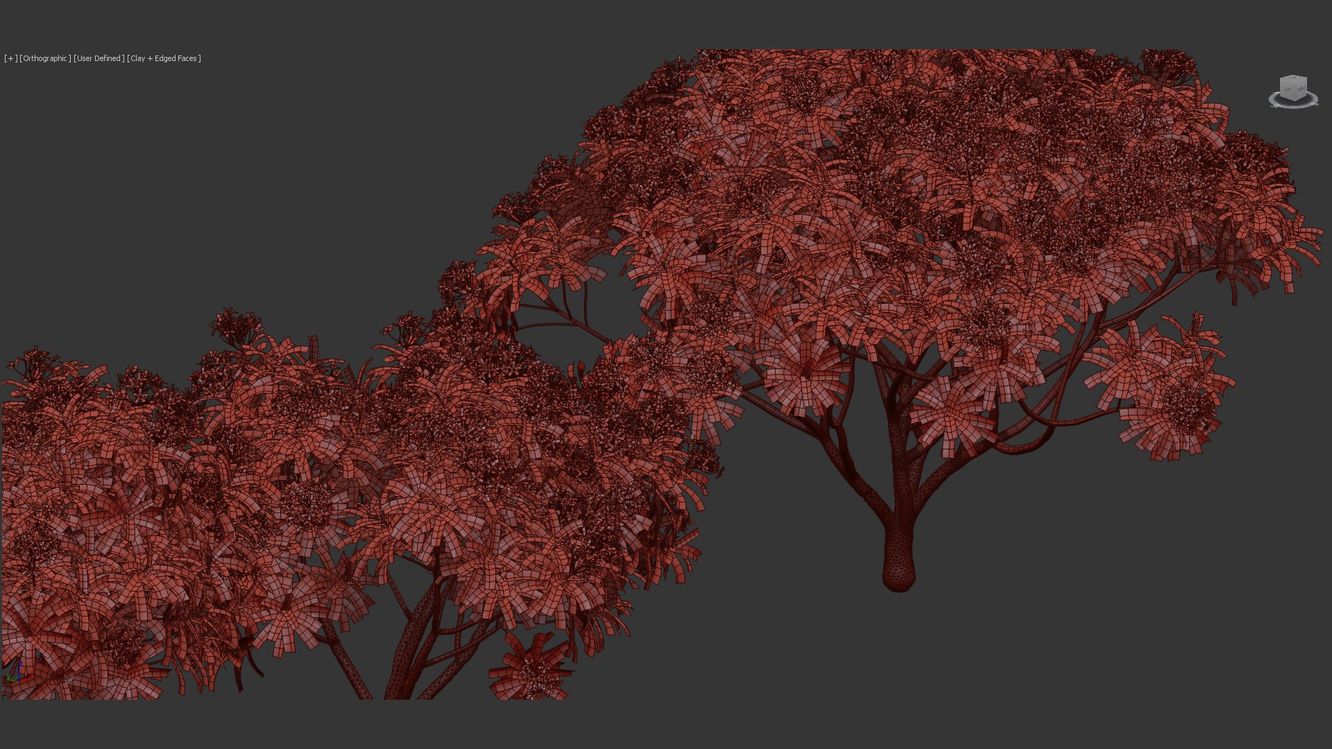 Plumeria rubra Frangipani 3D model https://p.turbosquid.com/ts-thumb/iO/WrMxdJ/Bw/bc_pm_p06_plumeria_rubra_11/jpg/1680452686/1920x1080/fit_q87/e1f0acb32140de6a826b7d94fe238c631f0463b6/bc_pm_p06_plumeria_rubra_11.jpg