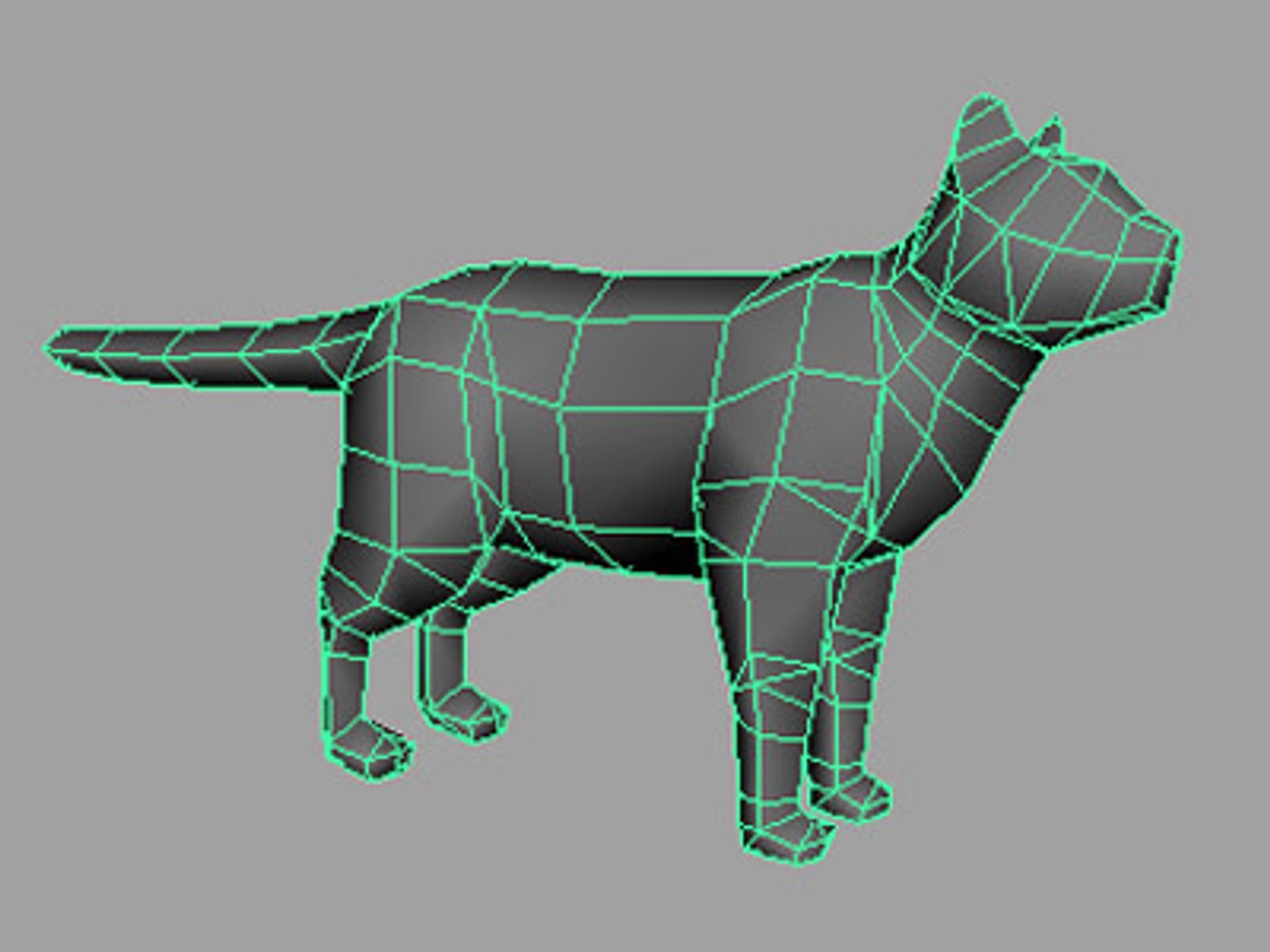 cat orange tabby 3d obj https://p.turbosquid.com/ts-thumb/iO/WsIZ7i/NQqNkqJQ/orgtab_gl3/jpg/1118975462/1920x1080/fit_q87/656926d9026b9acc93636c295b0db6a7b0959342/orgtab_gl3.jpg