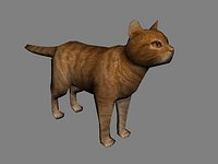 Cat_OrangeTabby