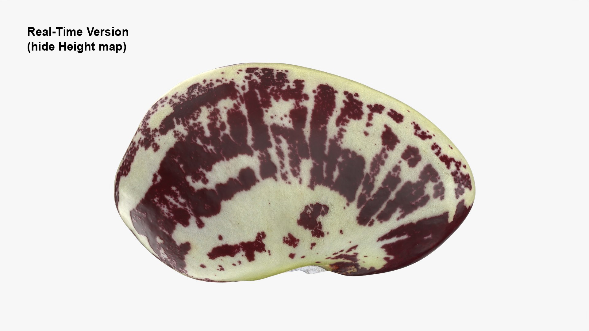 3D Speckled Butter Bean model https://p.turbosquid.com/ts-thumb/iO/Y6Xq5M/2U/butterbeanspeckled_0006b/png/1765988076/1920x1080/fit_q87/cb8f12b4557b4daaebbe1323405a5c368e0455ea/butterbeanspeckled_0006b.jpg