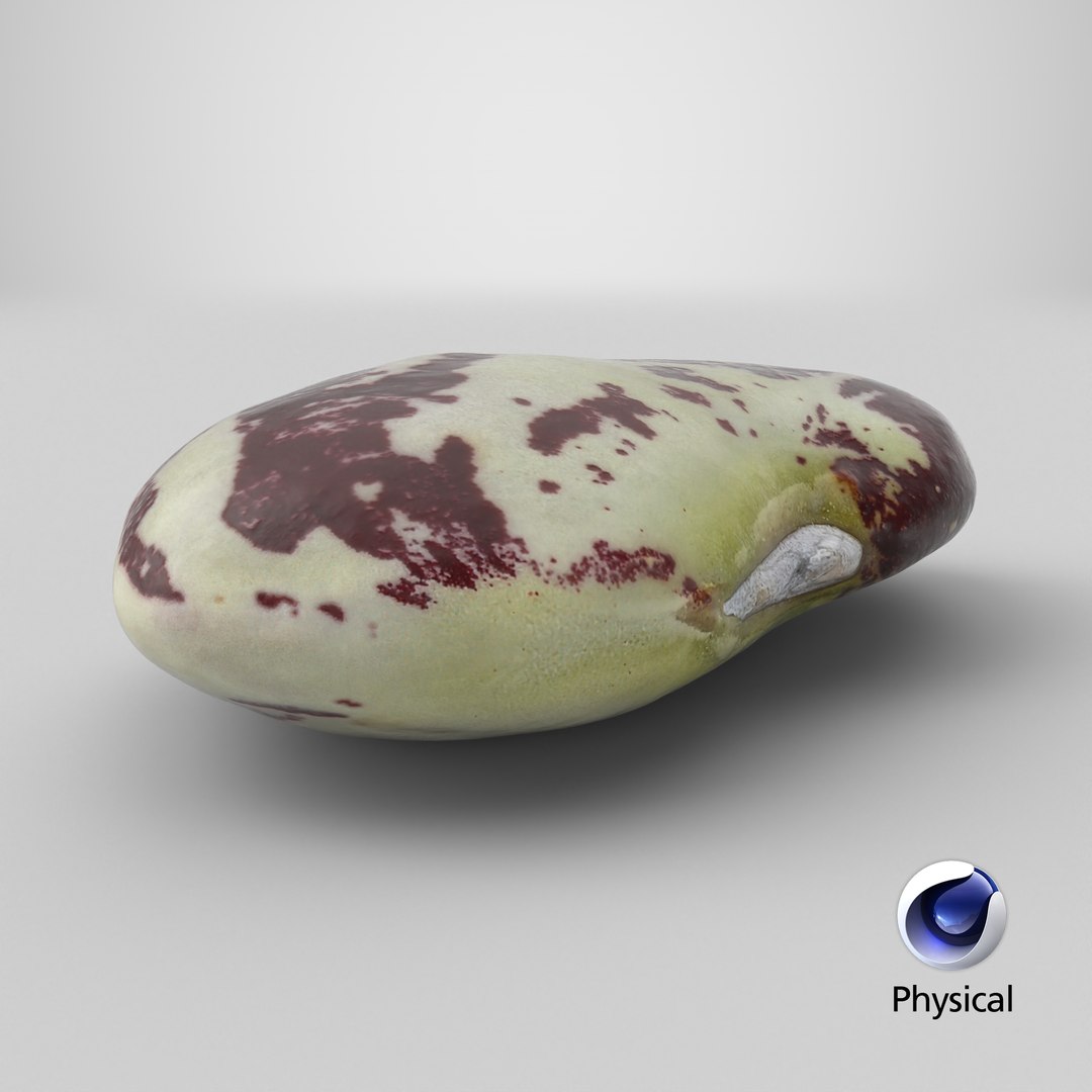 3D Speckled Butter Bean model https://p.turbosquid.com/ts-thumb/iO/Y6Xq5M/Hr/stemcell_cinema_4d_physical_render/png/1766555809/1920x1080/fit_q87/30a65c2636ad6f5d48aee71e1a5915e9cc03c07e/stemcell_cinema_4d_physical_render.jpg