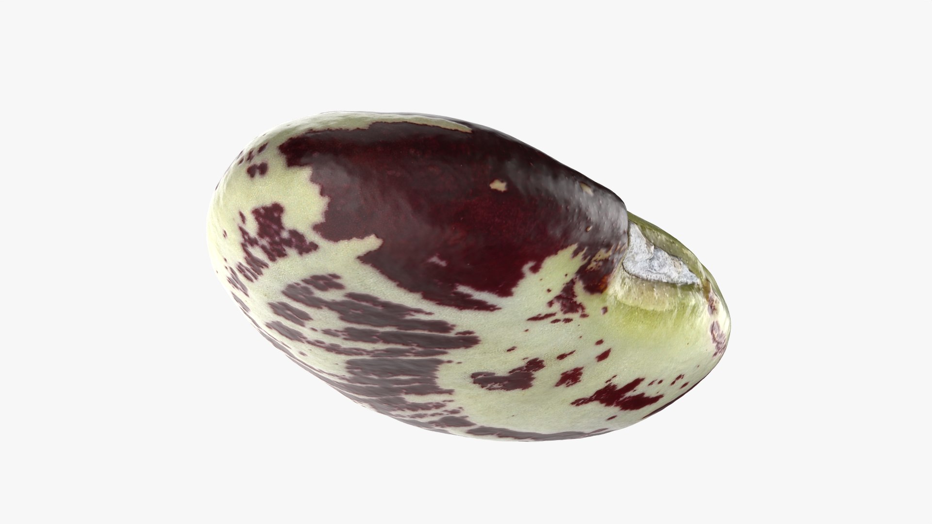 3D Speckled Butter Bean model https://p.turbosquid.com/ts-thumb/iO/Y6Xq5M/Nf/butterbeanspeckled_0009/png/1765988088/1920x1080/fit_q87/b44dbbd4fbac1b4d5a510da0747e0f9bc0114477/butterbeanspeckled_0009.jpg