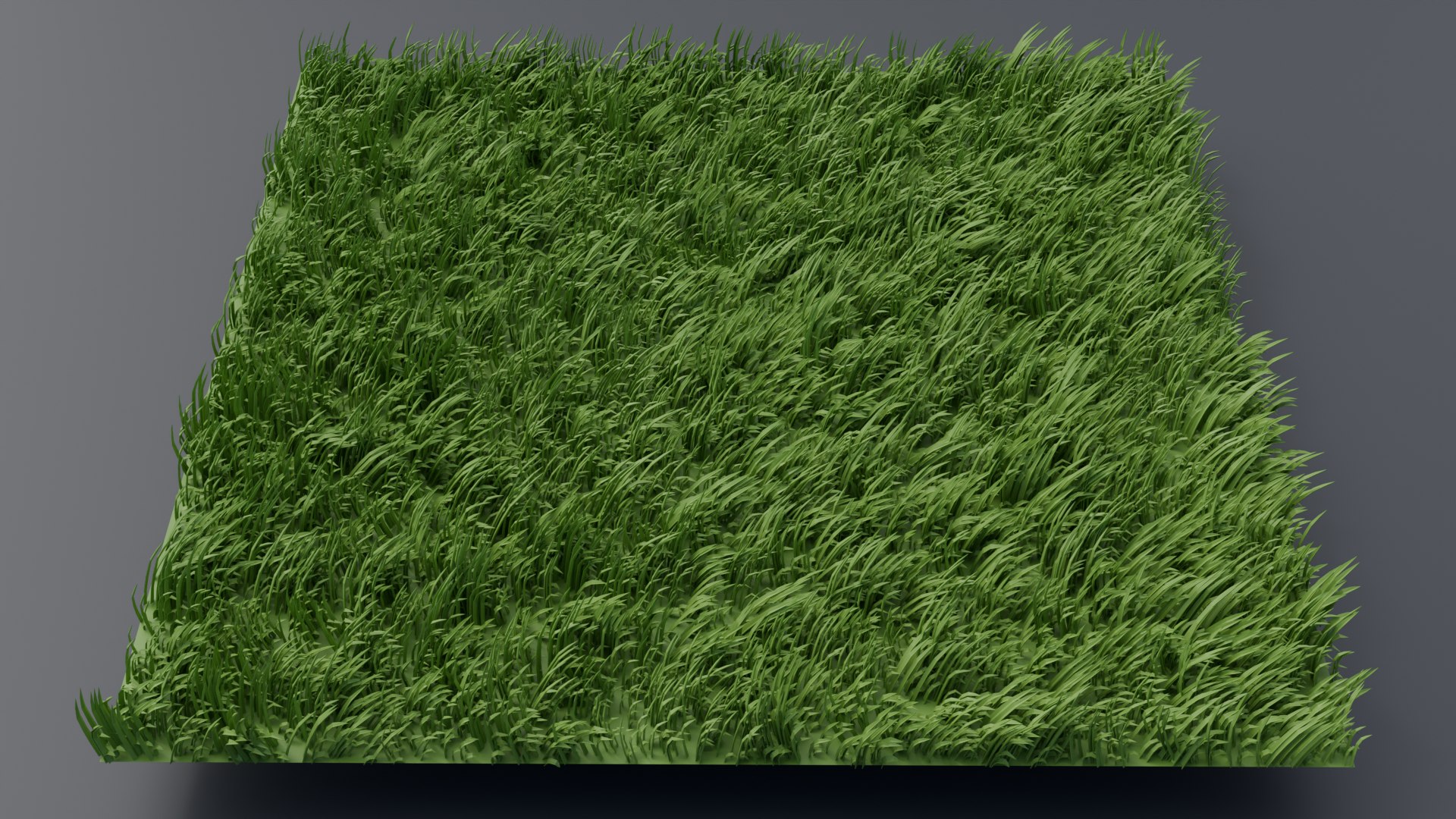 Grass 3D model https://p.turbosquid.com/ts-thumb/iO/dBwouk/1l/shot02/png/1746785335/1920x1080/fit_q87/87f0c39c5a71939bf6ac6f2540da490b2c54aec3/shot02.jpg