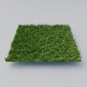Grass 3D model