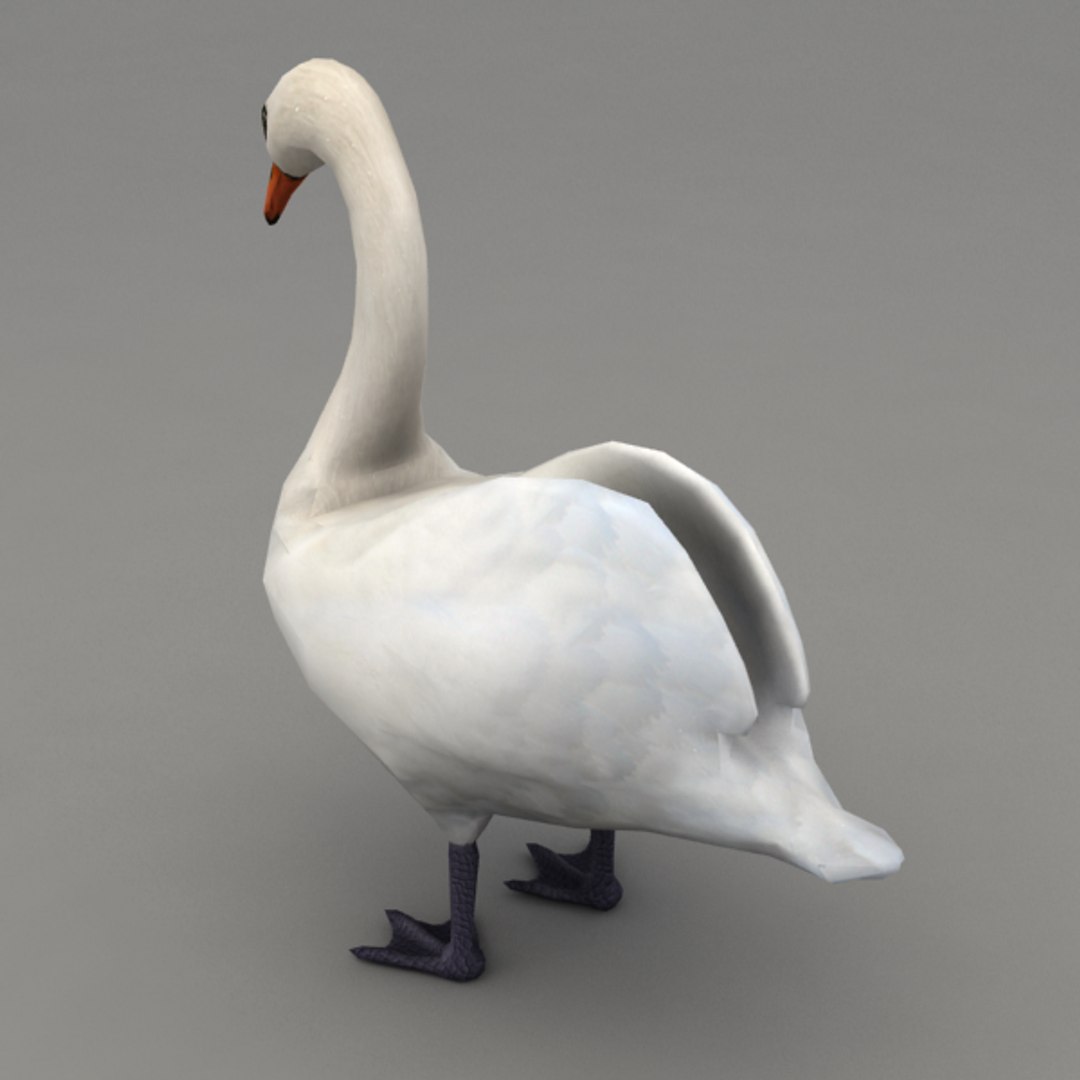 3ds Max Rigged Swan