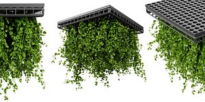 Collection plant vol 545 - blender model 3D model