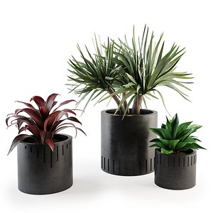 3D decorative set - TurboSquid 1446443