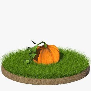 Pumpkin Cartoon