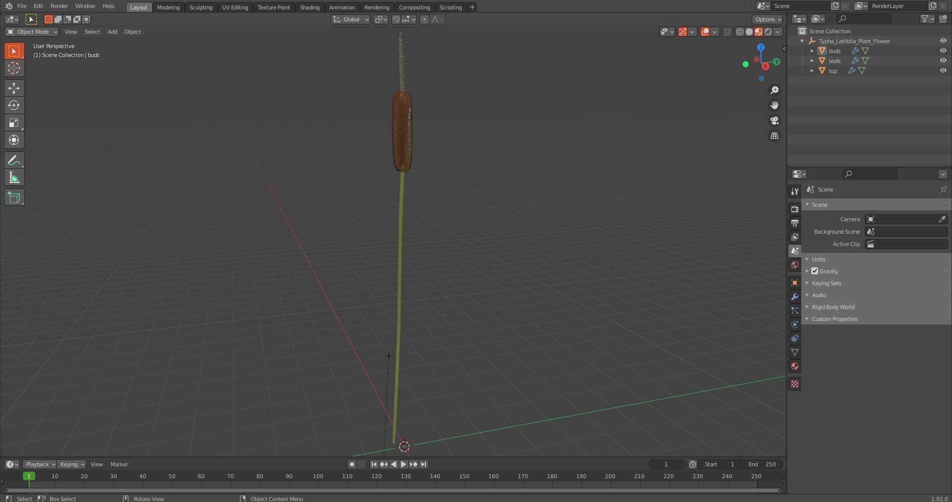 Typha Latifolia Plant Flower 3D Model - TurboSquid 2157856