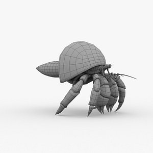 3D hermit crab basemesh