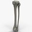 3d Model Fibula Tibia Bone