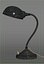 Vintage gooseneck lamp