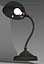 Vintage gooseneck lamp