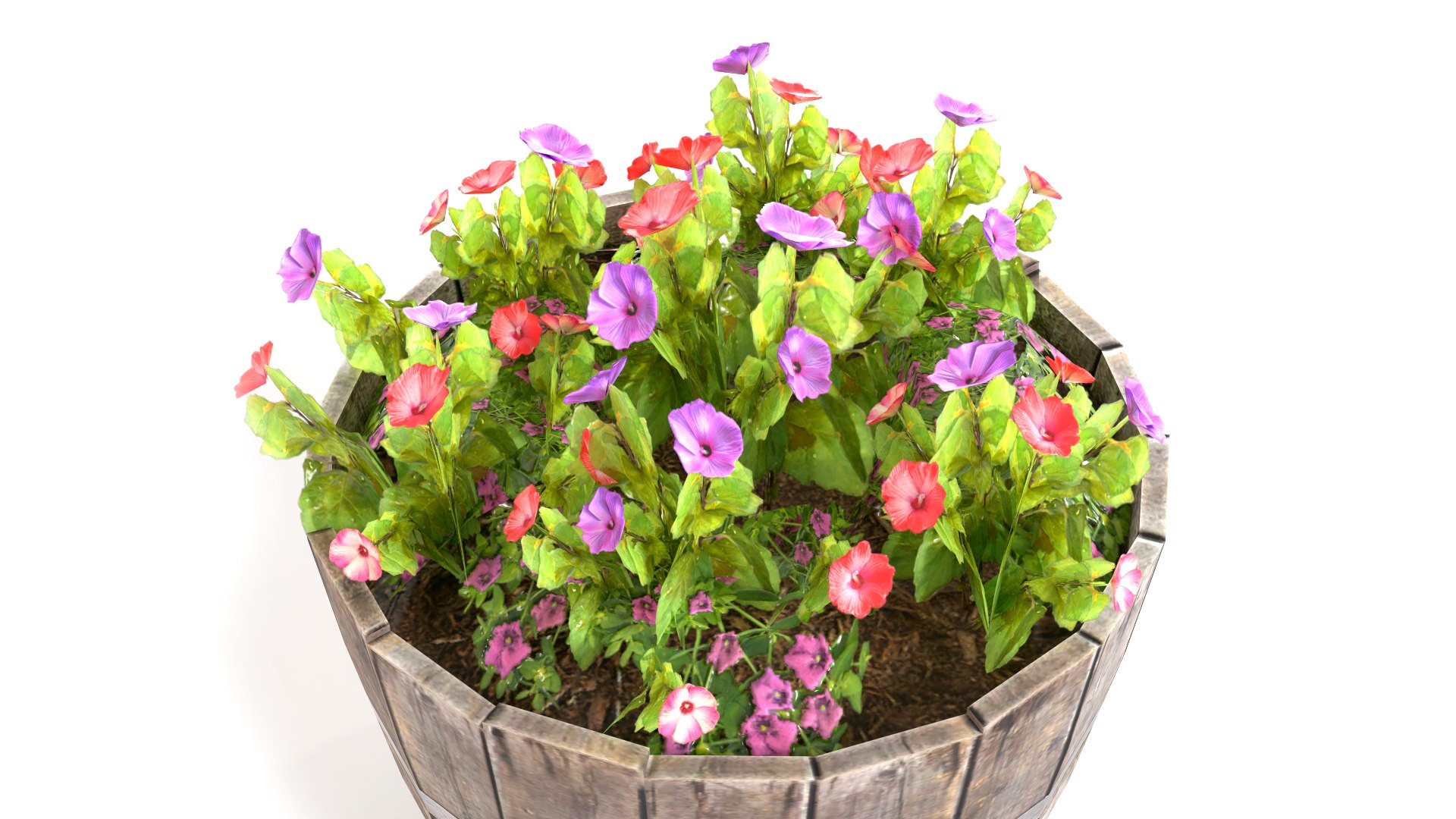 plants potted max https://p.turbosquid.com/ts-thumb/iP/SNVDFZ/6U/pb1a_5/jpg/1721824531/1920x1080/fit_q87/1d62c56d878742750319a49f6fe3f6e189003676/pb1a_5.jpg