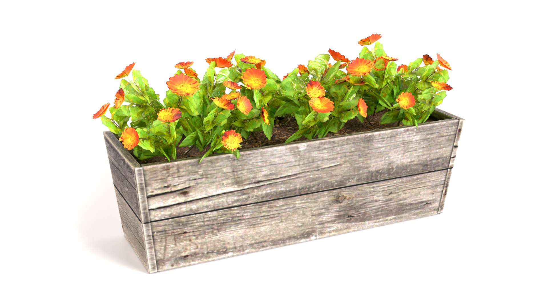 plants potted max https://p.turbosquid.com/ts-thumb/iP/SNVDFZ/jZ/pb1a_6/jpg/1721824536/1920x1080/fit_q87/d16150a186fcfb01521f51080eb4a5908dc0370e/pb1a_6.jpg