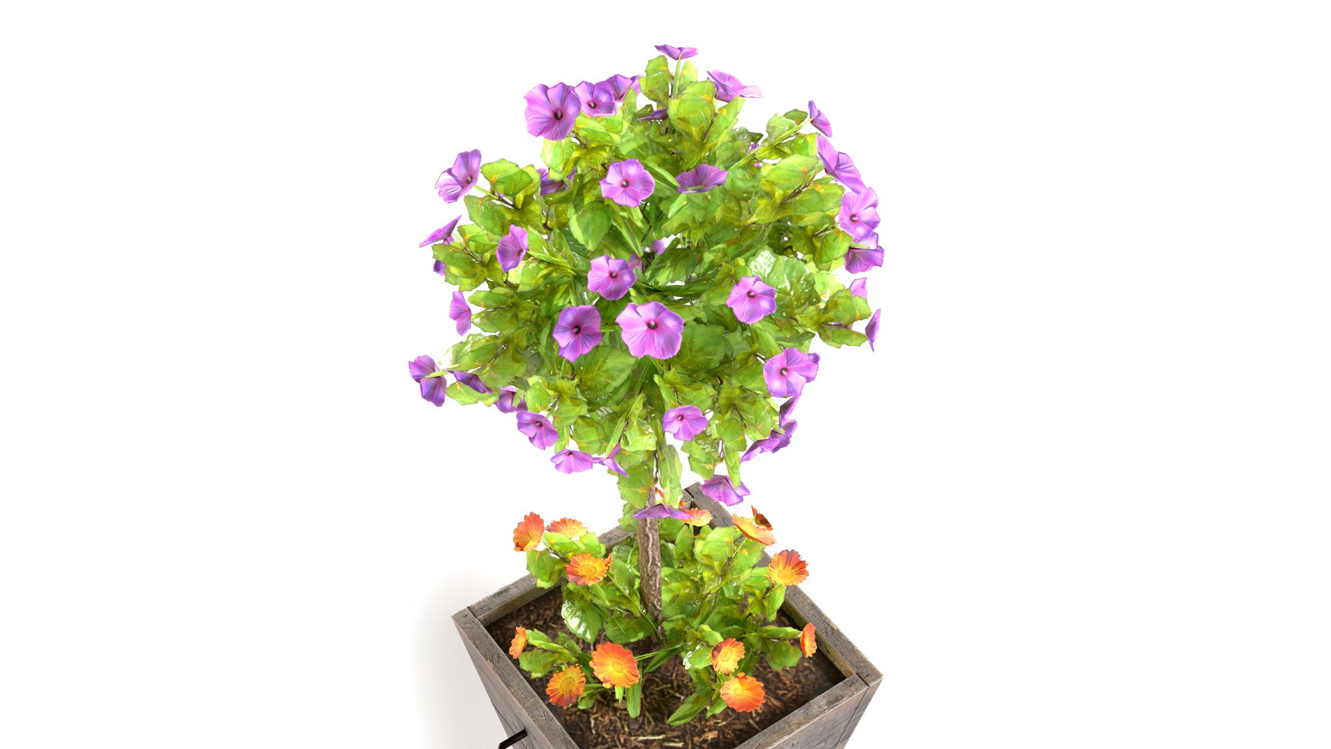 plants potted max https://p.turbosquid.com/ts-thumb/iP/SNVDFZ/st/pb1a_3/jpg/1721824527/1920x1080/fit_q87/303f22529020dd1d96fe97113e4ee898b74bd7fd/pb1a_3.jpg