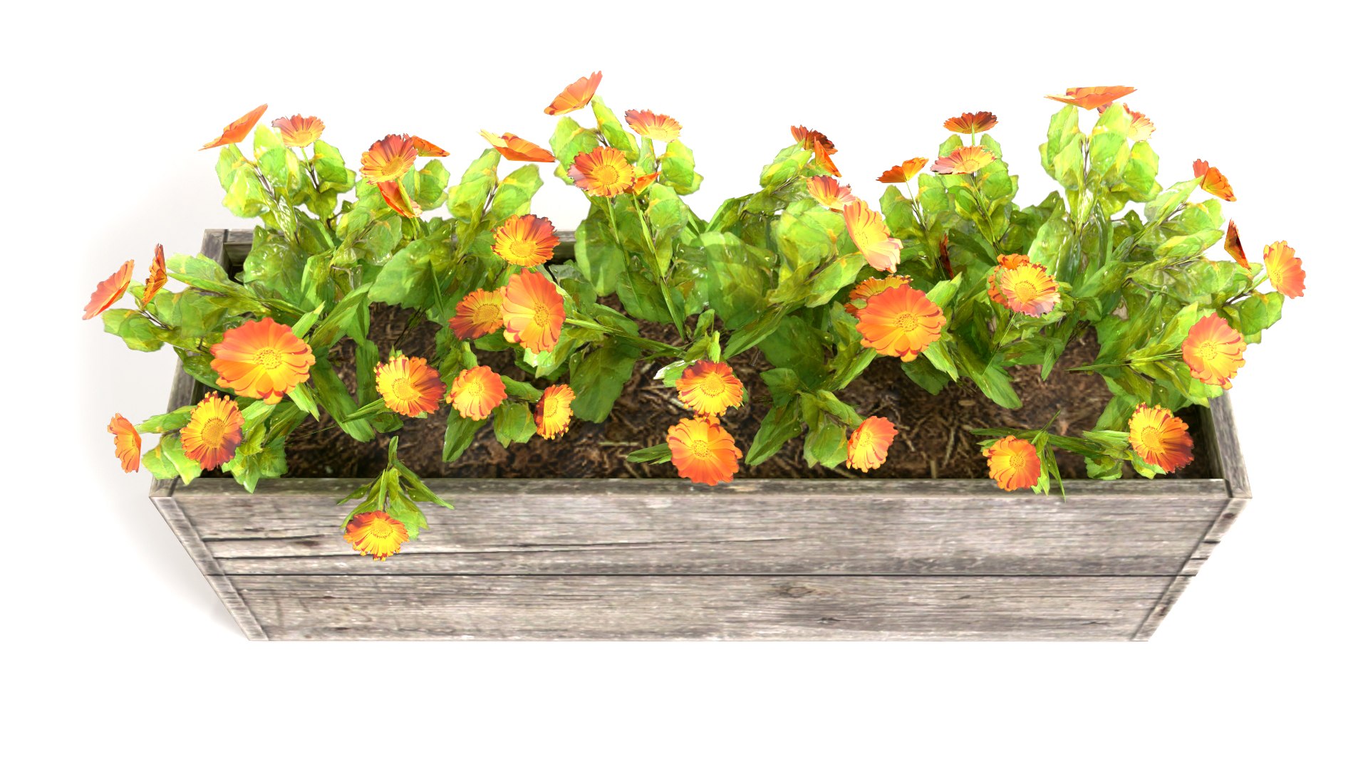 plants potted max https://p.turbosquid.com/ts-thumb/iP/SNVDFZ/t9/pb1a_7/jpg/1721824539/1920x1080/fit_q87/30cd5f6b9db430310f066e0b8058c70c694ffbd1/pb1a_7.jpg