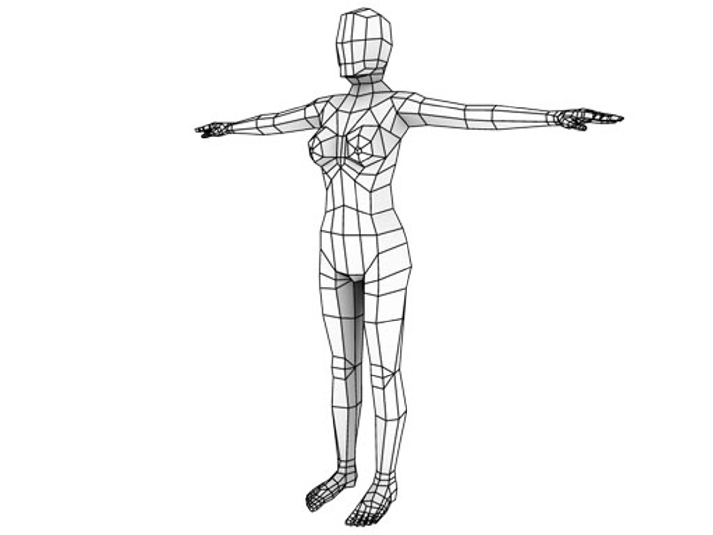 3d model polys
