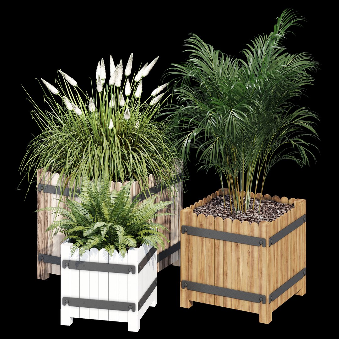3D model Campion https://p.turbosquid.com/ts-thumb/iP/fcWmAE/L6/dtree_4/jpg/1657915901/1920x1080/fit_q87/7c60814dd6daeb4655b457366b94448c21e7da0e/dtree_4.jpg